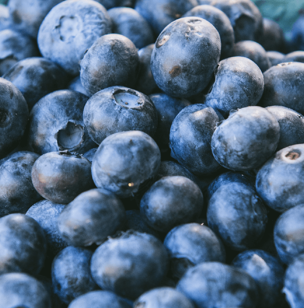 A close up of blueberries.