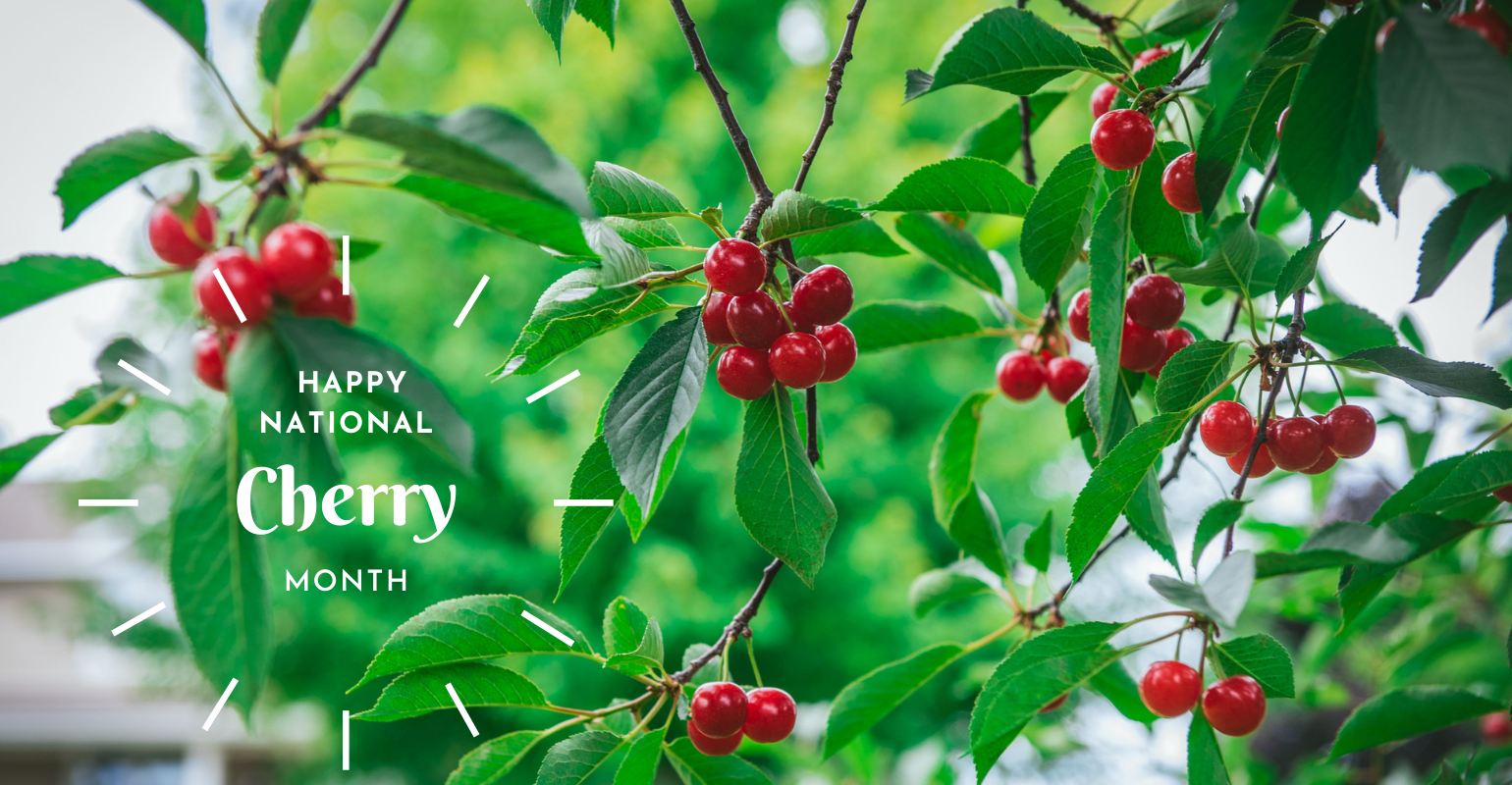 Small clusters of bright red cherries hang from the branches of a cherry tree with a National Cherry Month graphic.