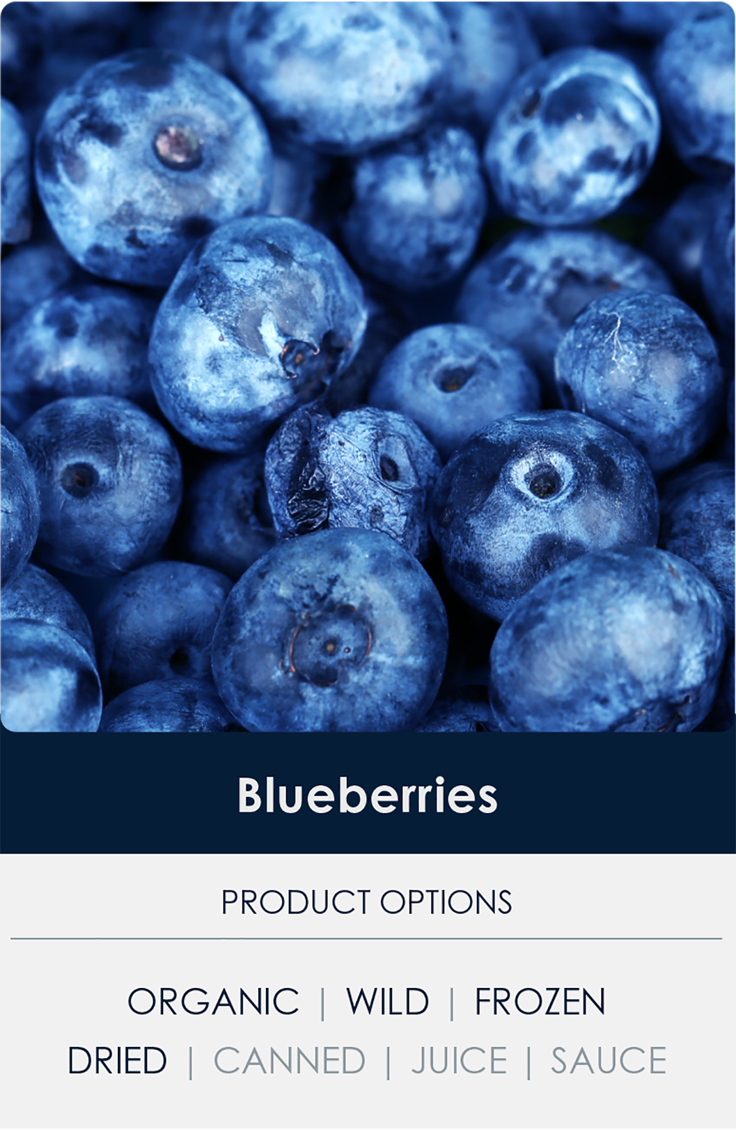 Blueberries photographed above a rendered list of product options: organic, wild, frozen, dried, canned, juice, sauce.