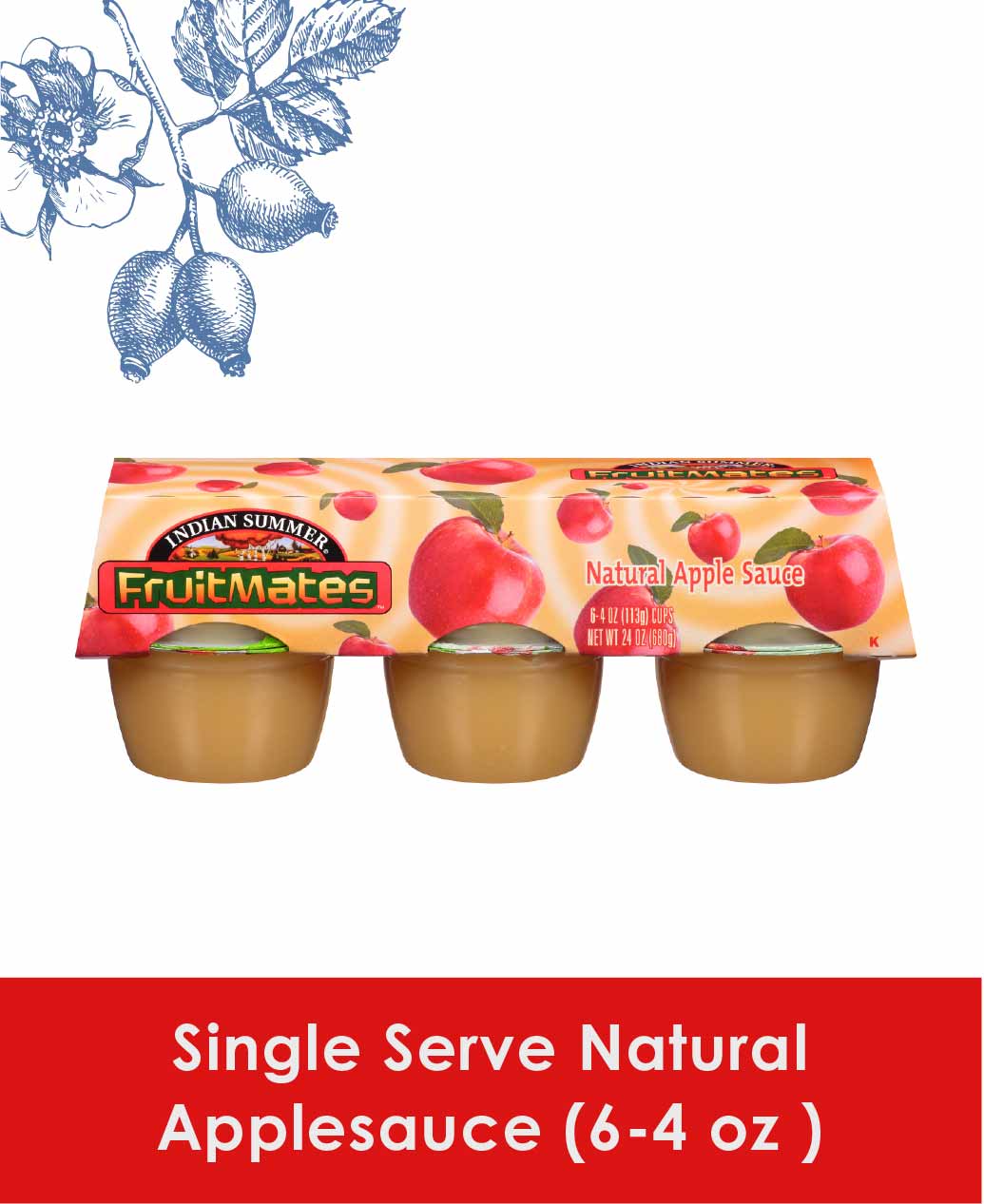 Single Serve Natural Applesauce Cherry Central