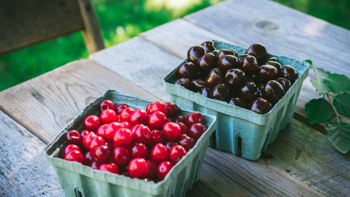 an image of fresh tart and sweet cherries