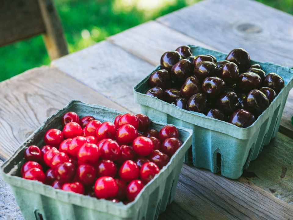 an image of fresh tart and sweet cherries