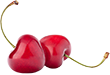 Two cherries isolated on an empty backdrop