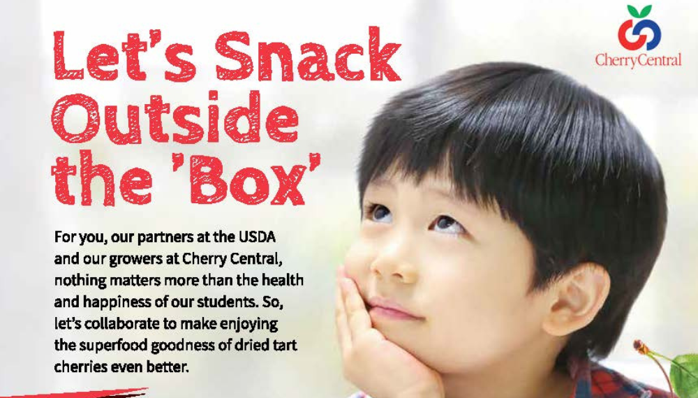 an excerpt of a k-12 marketing piece